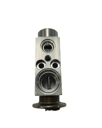 EXPANSION VALF BMW 5 SERİSİ E39 E53