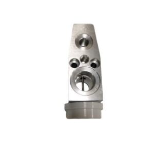 EXPANSION VALF FORD CUSTOM V363