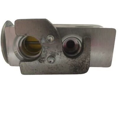 EXPANSION VALF PEUGEOT CİTROEN