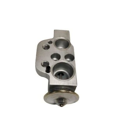 EXPANSION VALF VW GOLF V CADDY III