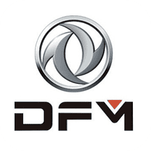 Dfm1
