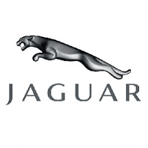 Jaguar1